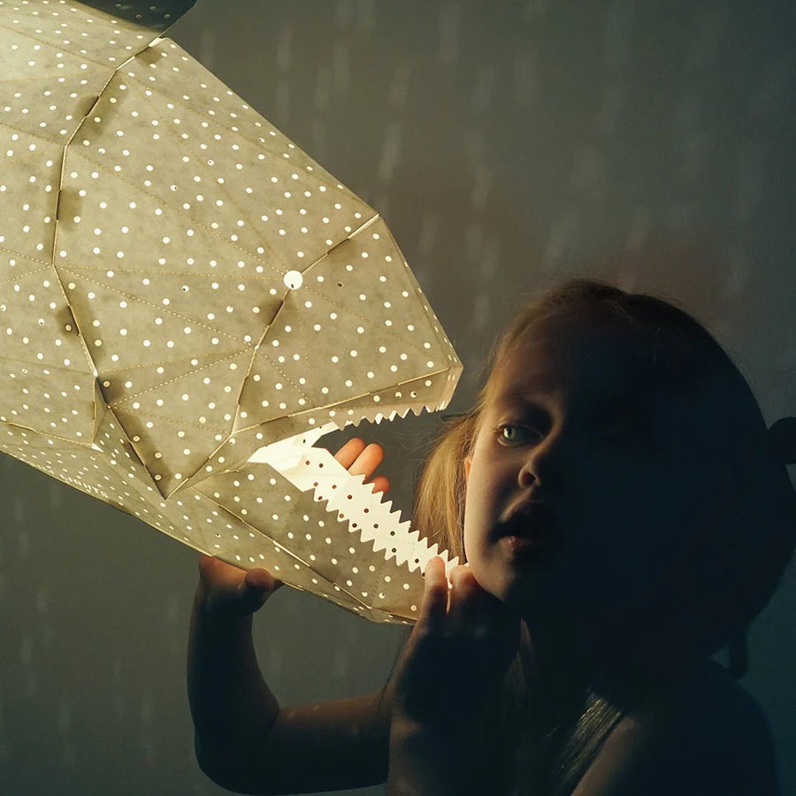 Pendant fish light
