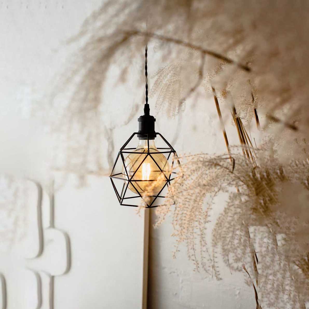 Pendant lamp Edison SL