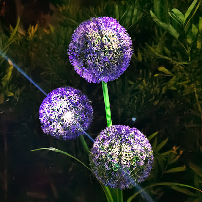 SOLAR LANTERN DANDELION LIGHT