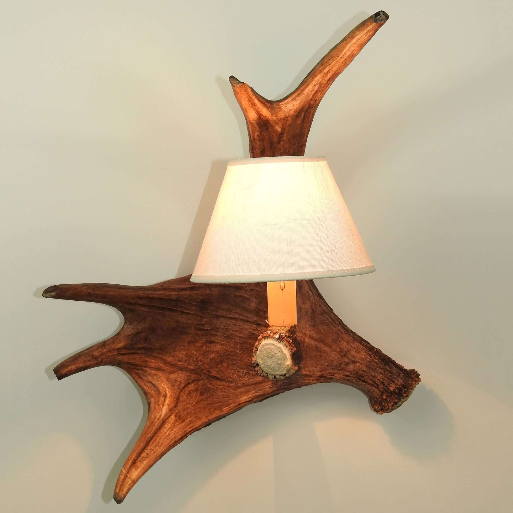 SINGLE MOOSE sconce with shade