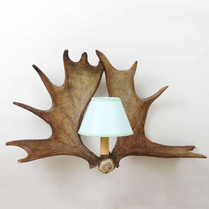 REAL DOUBLE MOOSE ANTLER Sconce with shades