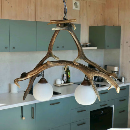 REAL ANTLER Pendant lamp var.1