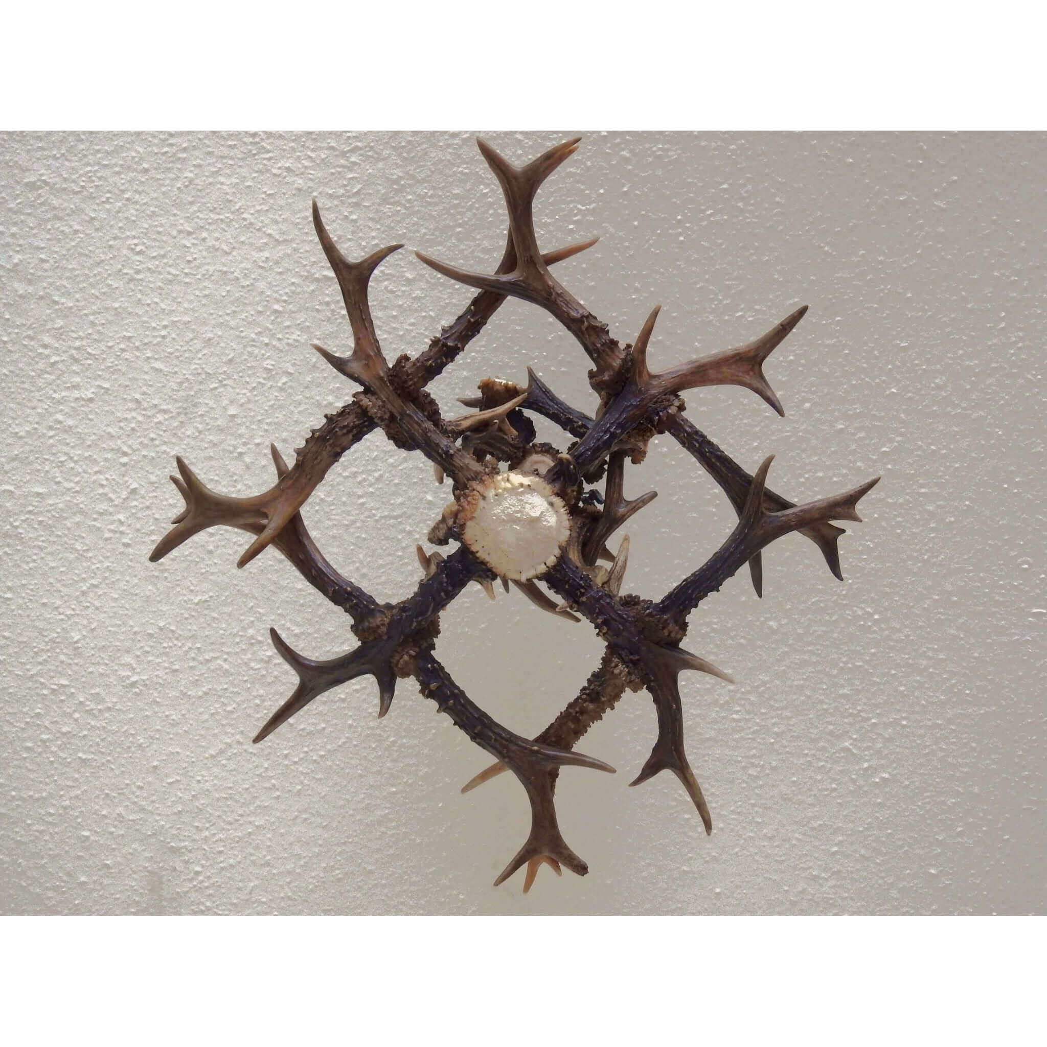 SMALL ANTLER Chandelier for 1 light