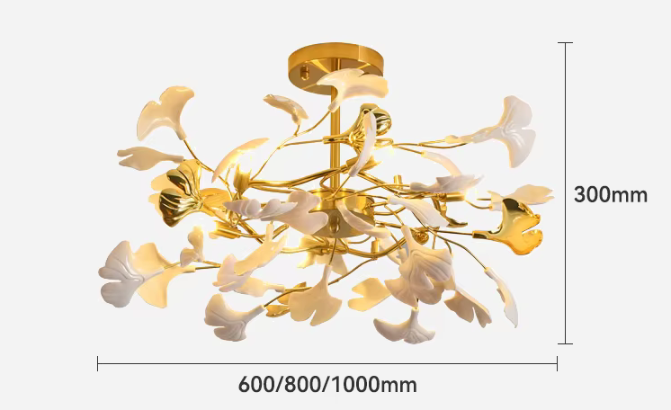 Custom Image