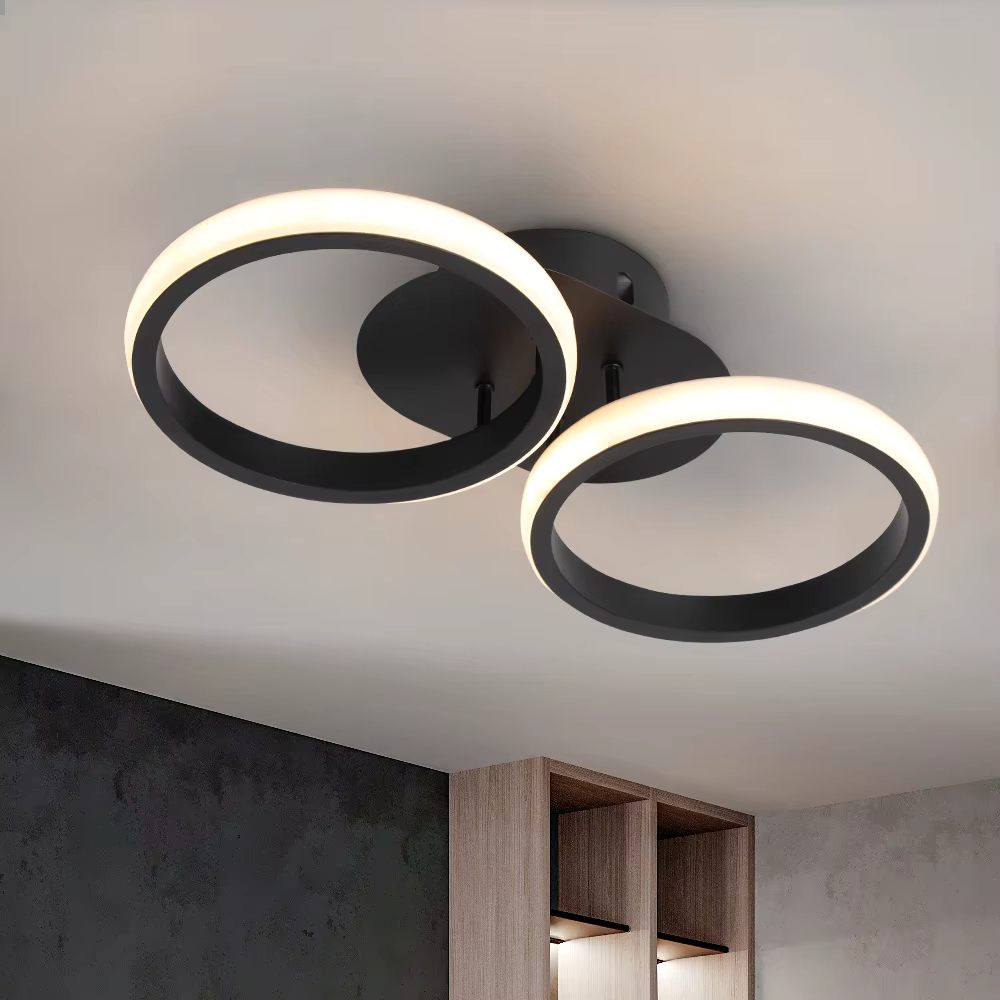Twin ring ceiling light