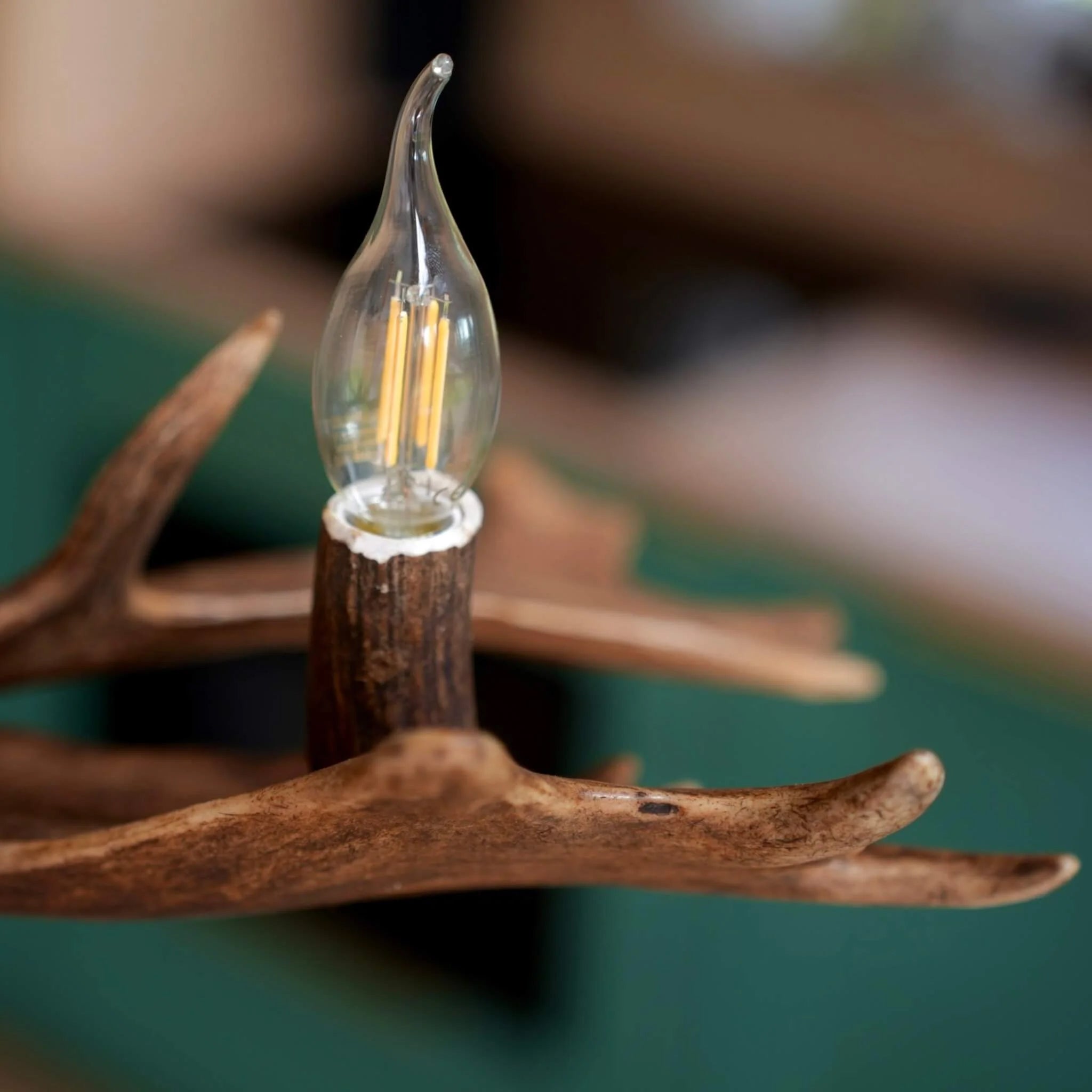 REAL LOW CEILING ANTLER Chandelier with antler sockets