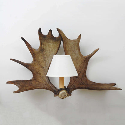 REAL DOUBLE MOOSE ANTLER Sconce with shades