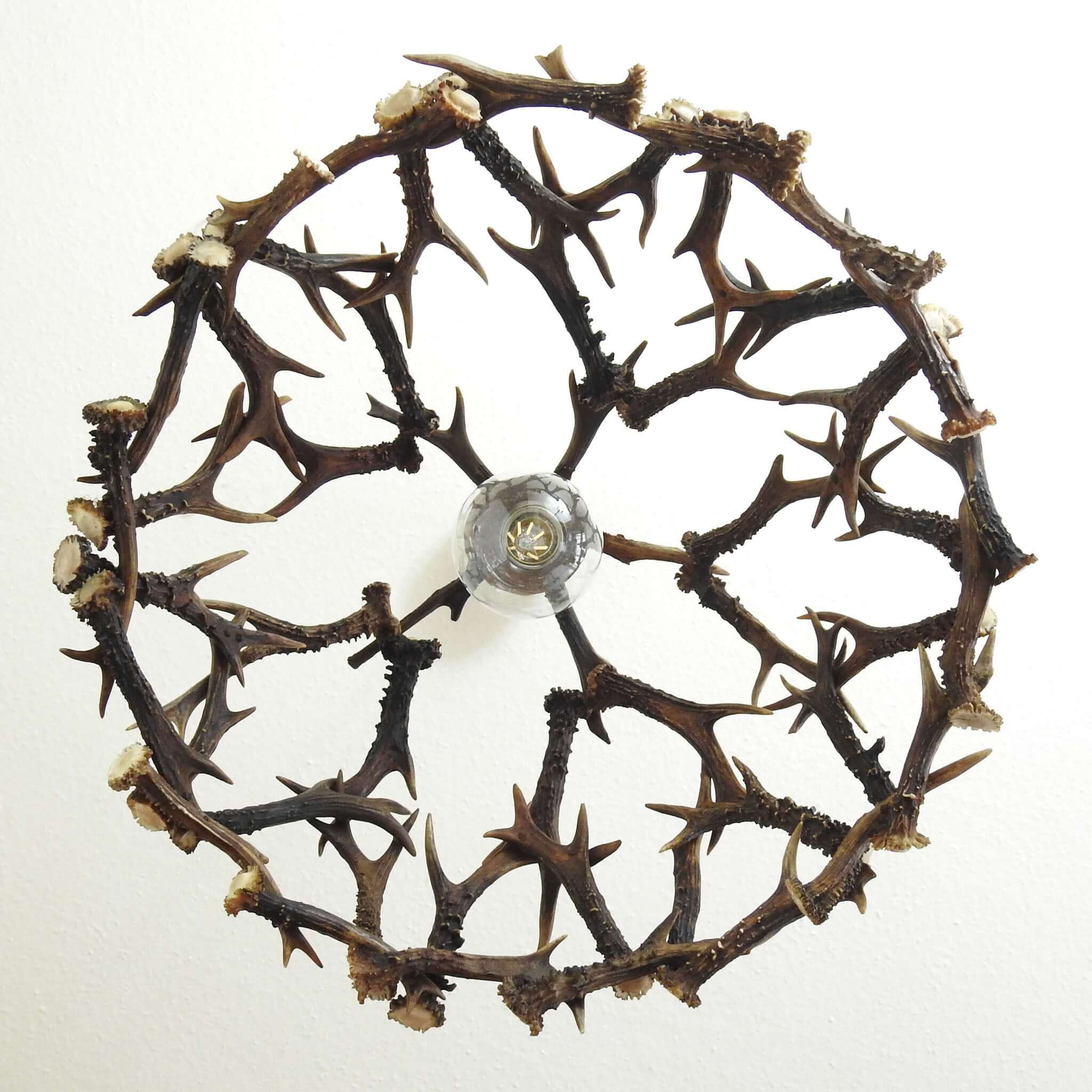 REAL ANTLER Table ceiling lamp