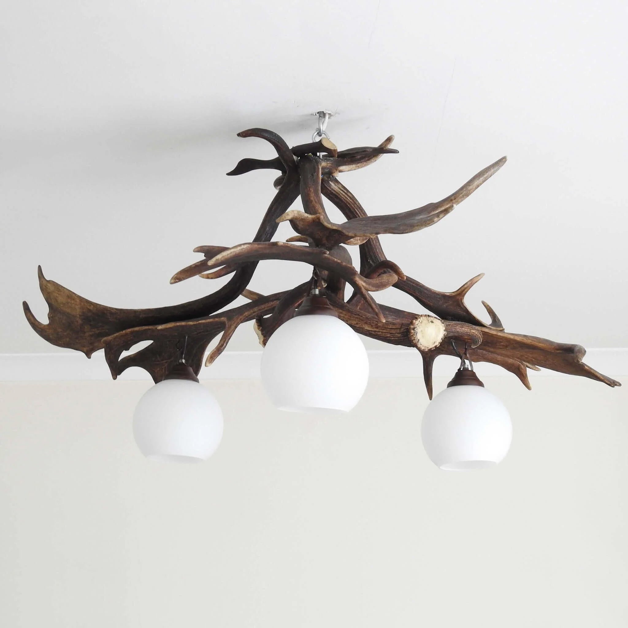 REAL ANTLER Pendant lamp for 3 lights